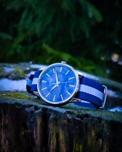 Casio MTP-1303PD-2AVEG in nature on a log against a pine