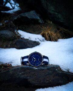 Casio MTP-1303PD-2AVEG in nature on a stone covered in stone