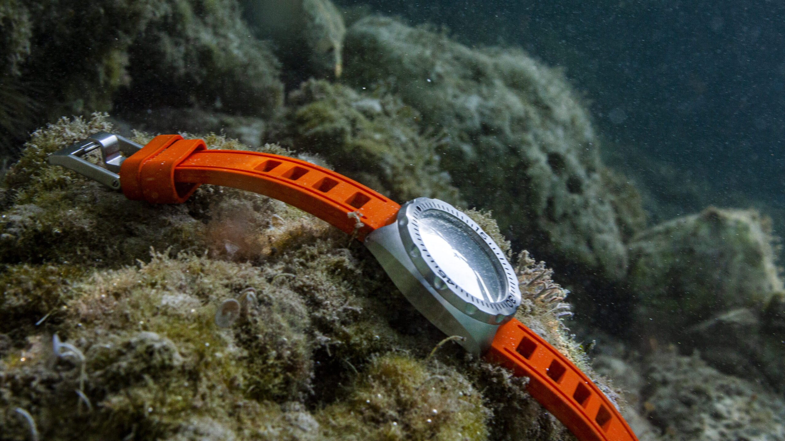 Gyavius Introduces the NAVI S — A Refined Take on Its Bold In-House Tool Watch